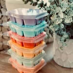 Scentsy 6 pack- Variety of bars